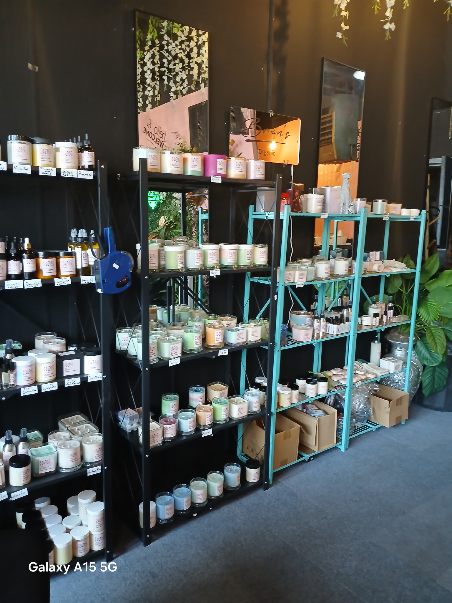 Bren's Organic Shop Interior